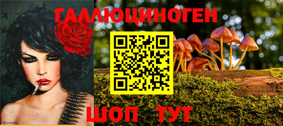 Кубинка  Псилоцибиновые грибы Psilocybine cubensis  Галлюциногенные грибы мухоморы  Вход с VPN 