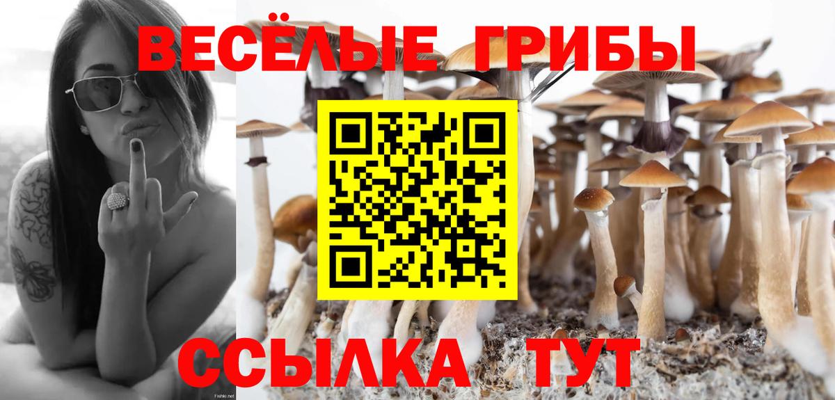 Псилоцибиновые грибы ЛСД Кубинка